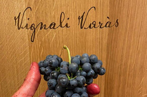 Alla scoperta del vino artigianale di montagna