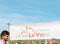 Discovering the MelaVispa