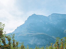 Discovering the MelaVispa