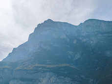 Discovering the MelaVispa