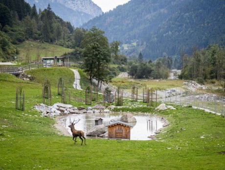 Area Faunistica Caoria (Wildtier Areal)