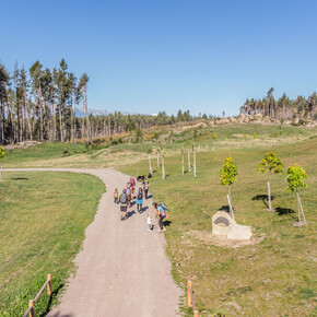 Bedolpian 2 Run - Die Waldstaffel