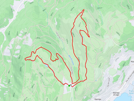 Bedolpian2Run – Der Waldstaffellauf