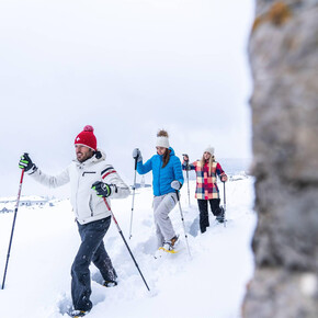 Trekking: The Trail of Imagination