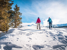 Trekking: The Trail of Imagination