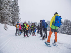 Trekking: The Trail of Imagination