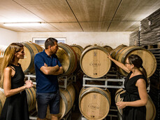Comai Wine Experience - Vigneto, Cantina e Degustazione
