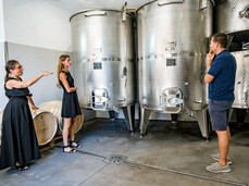 Comai Wine Experience - Vineyard, Cellar and Tasting