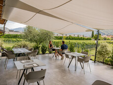 Comai Wine Experience - Vigneto, Cantina e Degustazione