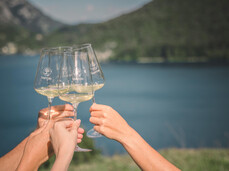 What's in the wine cellar?