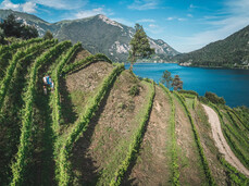 What's in the wine cellar?