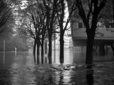 From Trento to the World: Visual Chronicles by Giorgio Salomon