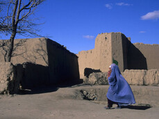 From Trento to the World: Visual Chronicles by Giorgio Salomon