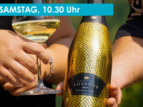 DEGUSTAZIONE CLASSIC