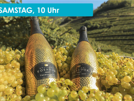 WINE TASTING AT TENUTA GOTTARDI