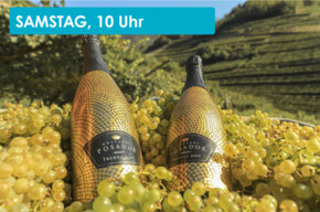 WINE TASTING AT TENUTA GOTTARDI