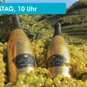 WINE TASTING AT TENUTA GOTTARDI