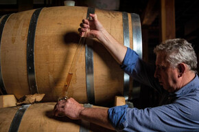 Degustazione “I cinque sensi”