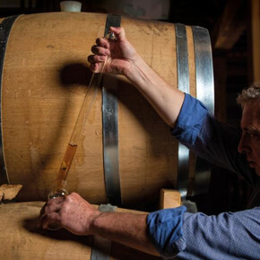 “Five senses” tasting