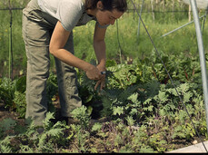 The Travel Diary - Foradori Winery