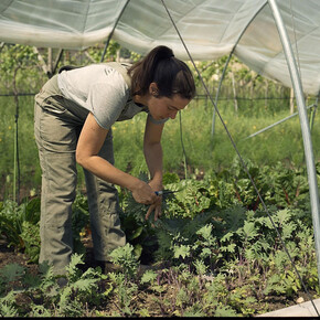 The Travel Diary - Foradori Winery