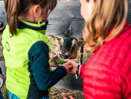 Educational farms on Monte Bondone