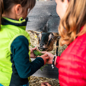 Educational farms on Monte Bondone