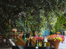 FermentiAmo - Agricola Foradori