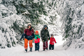 Torchlight procession in the woods