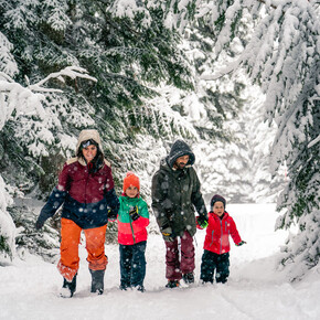 Torchlight procession in the woods