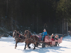 Carriage tours and horse rides to the frozen lakes in Ruffrè