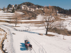 Carriage tours and horse rides to the frozen lakes in Ruffrè