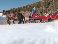 Carriage tours and horse rides to the frozen lakes in Ruffrè
