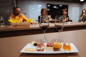 The Trentino land becomes a cellar - Rotari Winery