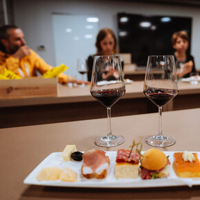 The Trentino land becomes a cellar - Rotari Winery