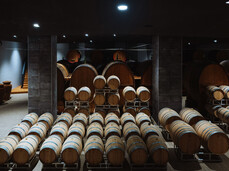 The Trentino land becomes a cellar - Rotari Winery