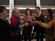 The Trentino land becomes a cellar - Rotari Winery