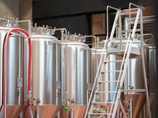 IMPAVIDA BEER EXPERIENCE