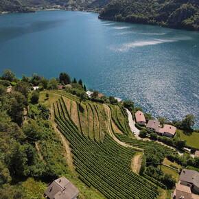 OUR ORGANIC FARM AT 360°