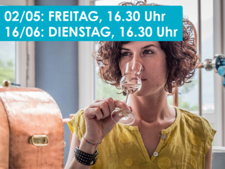 THE MAGIC OF ALEMBICS