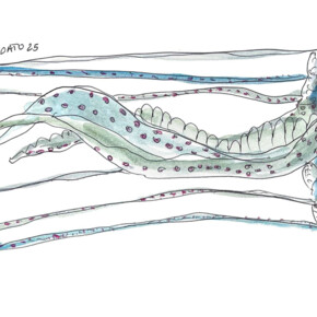 Die Medusa - Kunstinstallation - MUSE