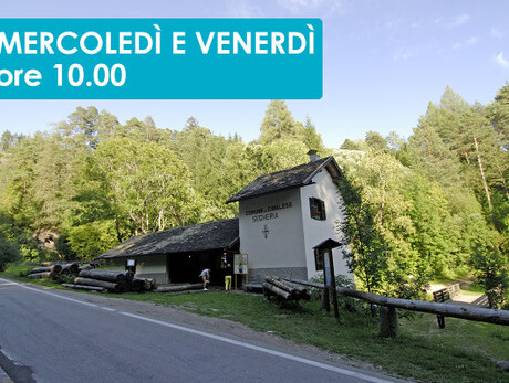 LA SEGHERIA VENEZIANA DEL COMUNE DI CAVALESE 