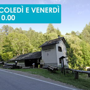 LA SEGHERIA VENEZIANA DEL COMUNE DI CAVALESE 