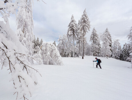 Ski mountaineering lesson