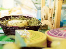 Agricultural Exhibition