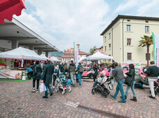 Agricultural Exhibition