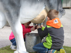 Agricultural Exhibition