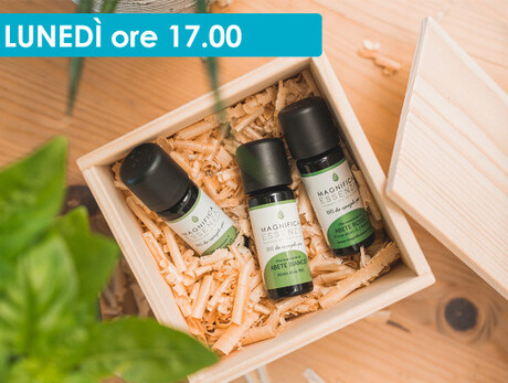 PROFUMI DI FIEMME: DAL BOSCO A CASA TUA 