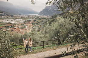 Just Like a Beekeeper