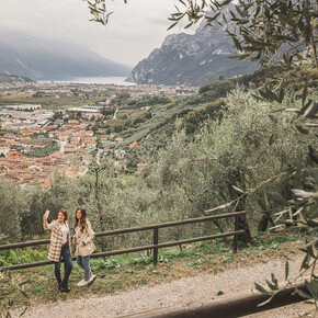 Just Like a Beekeeper